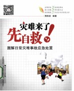 灾难来了先自救  图解日常灾难事故应急处置 封面