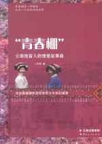 “青春棚”-云南他留人的情爱叙事曲 封面