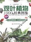 观叶植物1000种经典图鉴  终极版 封面