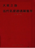 当代名家邀请展集卒  油画 封面