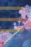 天空一无所有，为何给我安慰  海子诗传 封面