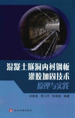 混凝土隧洞内衬钢板灌胶加固技术原理与实践 封面