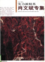 实力派精英  第6辑  肖文斌专集 封面