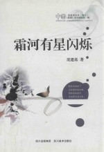 霜河有星闪烁 封面