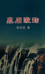 泉石激韵 封面