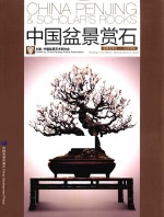 中国盆景赏石  盆景世界行-日本特辑 封面