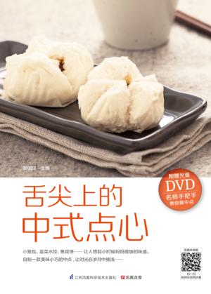 舌尖上的中式点心 封面