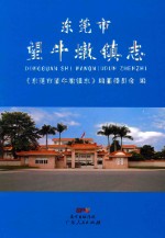 东莞市望牛墩镇志 封面