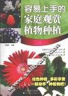 容易上手的家庭观赏植物种植 封面