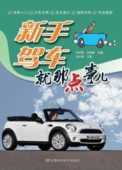 新手驾车就那点事儿 封面