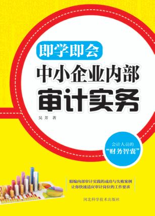 中小企业内部审计实务