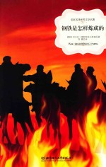 钢铁是怎样炼成的 封面