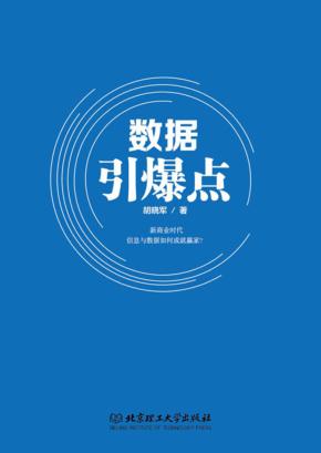 数据引爆点 封面