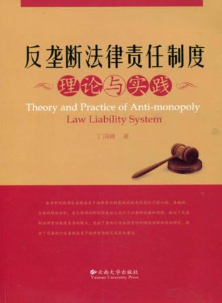 反垄断法律责任制度理论与实践 封面