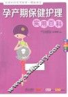 孕产期保健护理实用百科  畅销升级版 封面
