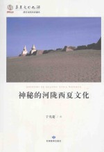 神秘的河陇西夏文化 封面