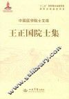 王正国院士集 封面