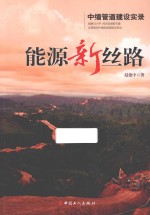 能源新丝路  中缅管道建设实录 封面