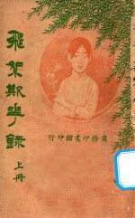 飞絮欺花录  上 封面