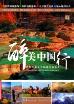 醉美中国行 封面