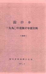 湍口乡一九九零年度统计年报资料《摘要》 封面