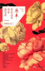 原来，我在这里等你遇见我 封面