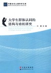 大学生群体认同的结构与动机研究 封面