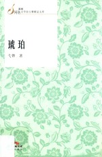 琥珀 封面
