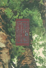 鉴赏家  春天枫林晓城 封面