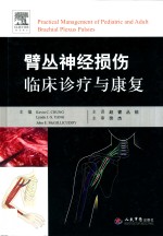 臂丛神经损伤临床诊疗与康复 封面