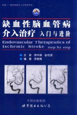 缺血性脑血管病介入治疗  入门与进阶 封面