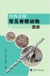 河西走廊常见脊椎动物图册 封面