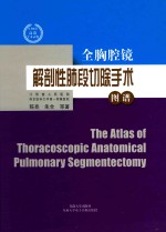 全胸腔镜解剖性肺段切除手术图谱 封面