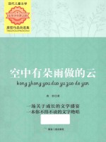 空中有朵雨做的云  唐哲作品自选集 封面