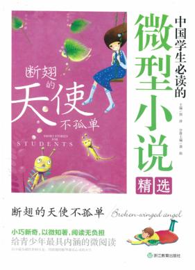 断翅的天使不孤单 封面