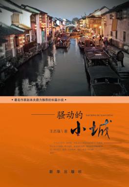 骚动的小城 封面