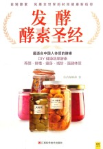 发酵酵素圣经  最适合中国人体质的酵素 封面