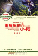 围墙里的小柯 封面