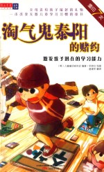 淘气鬼泰阳的赌约  激发孩子潜在的学习能力 封面