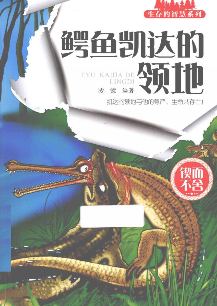 鳄鱼凯达的领地 封面