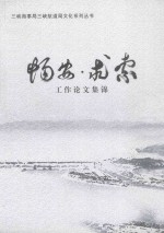 畅安·求索 工作论文集锦 封面