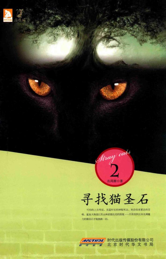 寻找猫圣石 封面