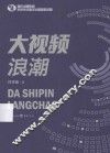 大视频浪潮 封面