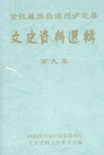 甘孜藏族自治州泸定县文史资料选辑  第9集 封面