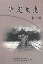 甘孜藏族自治州泸定县文史资料选辑  第10集 封面