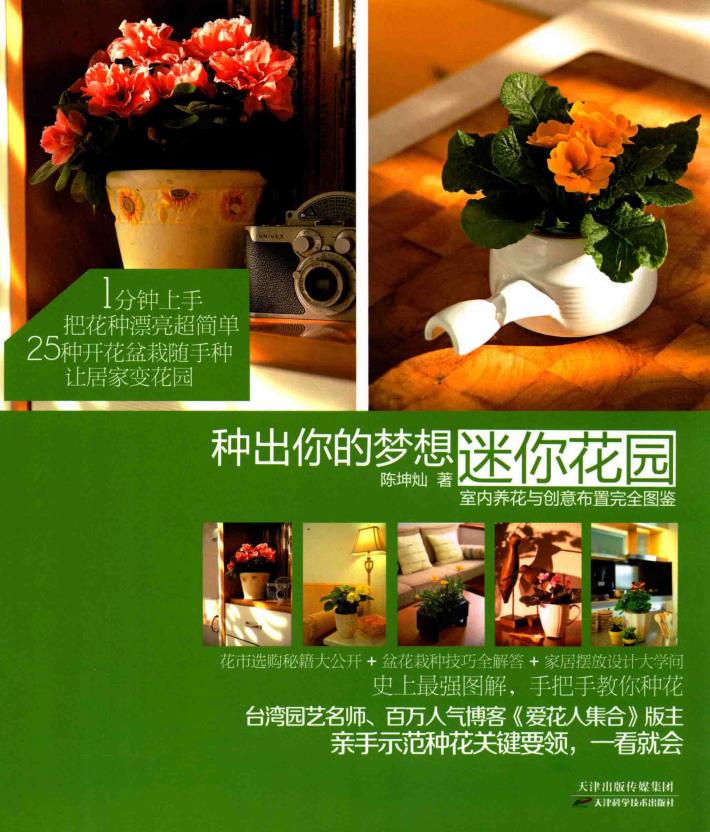 种出你的梦想迷你花园 封面