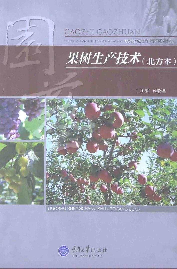 果树生产技术  北方本 封面