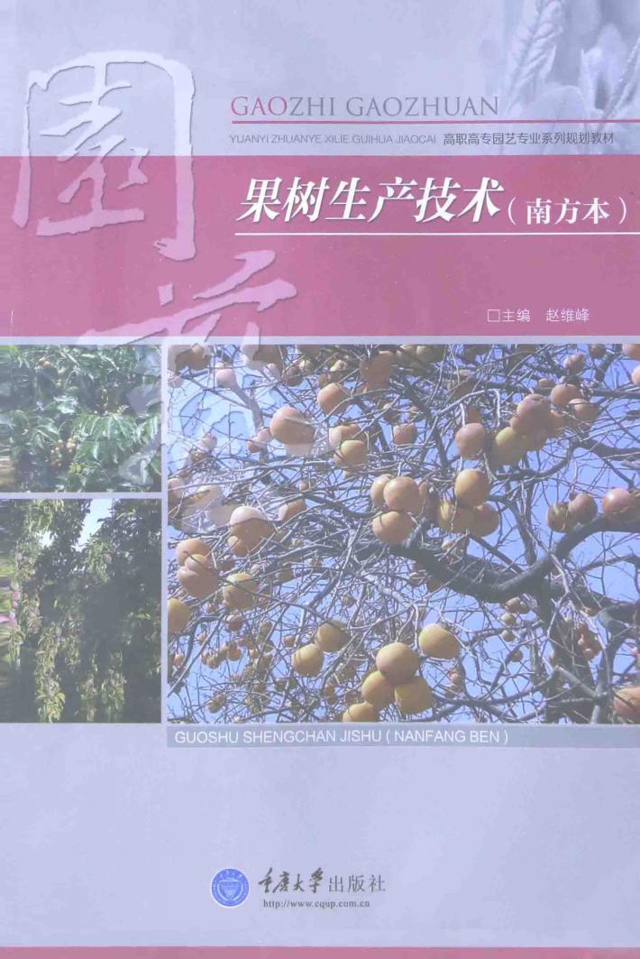 果树生产技术  南方本 封面