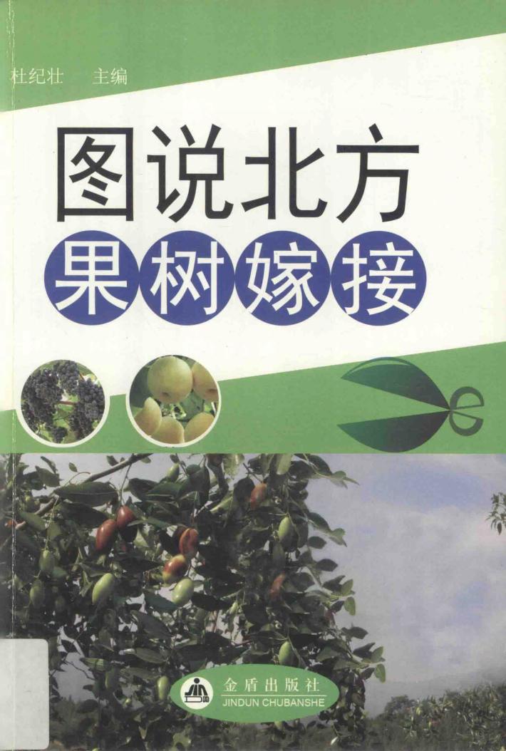 图说北方果树嫁接 封面