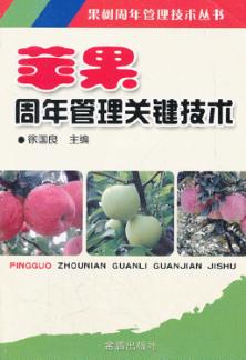 苹果周年管理关键技术 封面